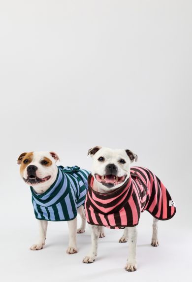 Snoot Style striped dog towel robes