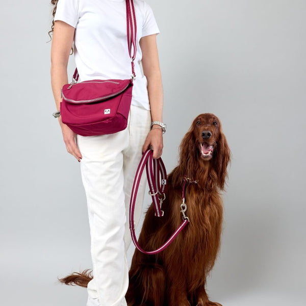 Hands Free Dog Walking bag.