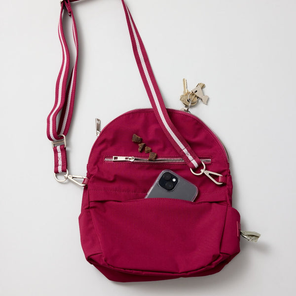 Dog Walking Bag with Multiple Pockets.