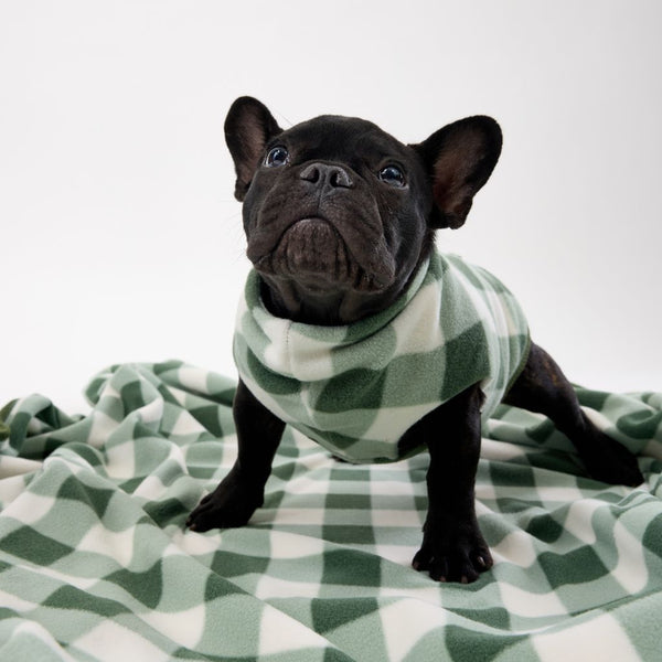 Warm and cosy fleece dog blanket Snoot Style.