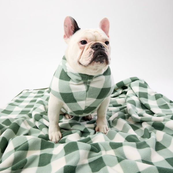 Calming fleece dog blanket Snoot Style.