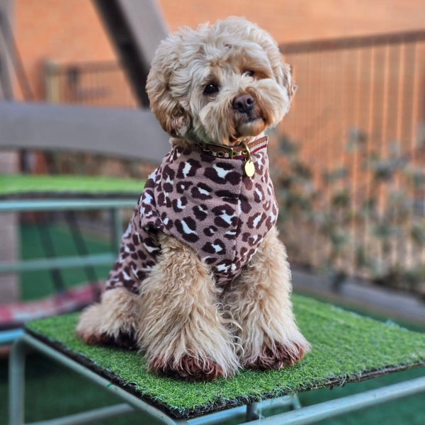 Warm fleece dog coat for small dogs Snoot Style.
