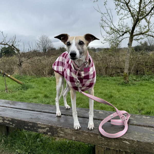 Snoot Style Best Quality Fleece Dog Coats.