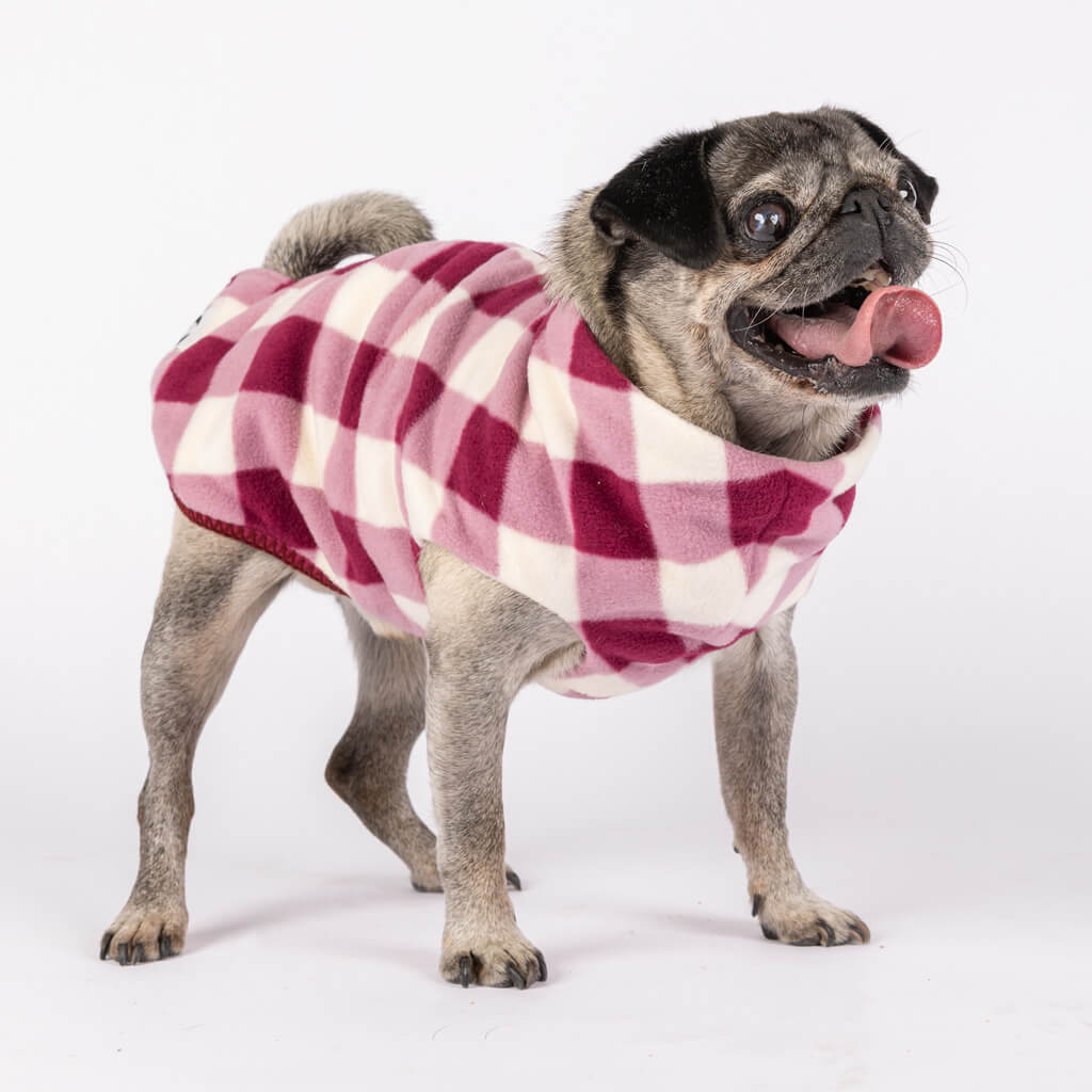 Fleece Dog Coats for Small Dogs with back Zip.