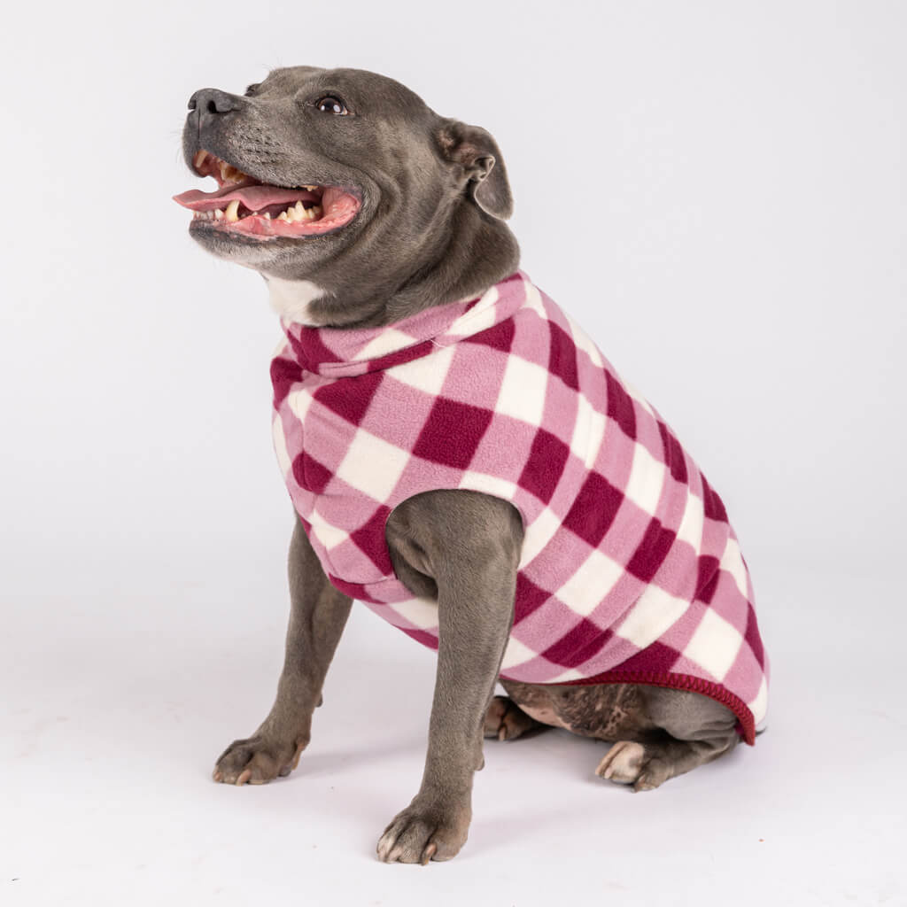 Fleece Dog Coat for Medium Sized Dogs with Back Zip.