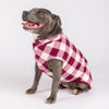 Fleece Dog Coat for Medium Sized Dogs with Back Zip.