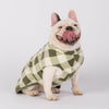 Fleece Dog Coat for Small Dogs with Back Zip.