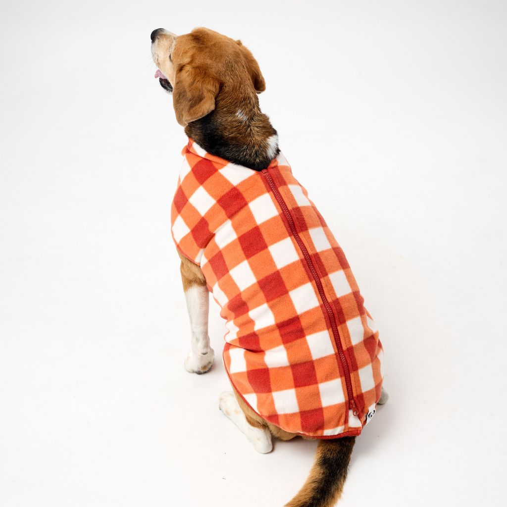 Medium Dog wearing an orange check Fleece Dog Coat on a white background.