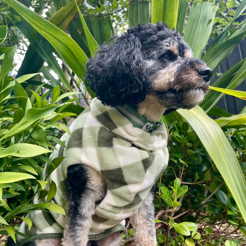 Snoot Style Green Check Fleece Dog Coat.