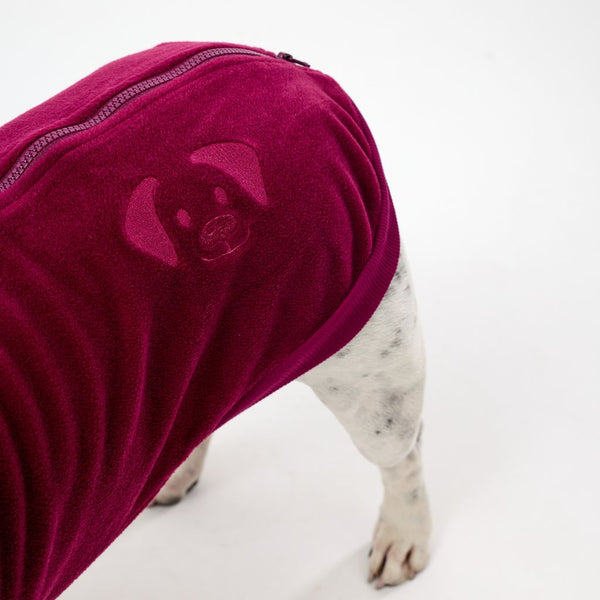 Dog wearing a fleece coat on a white background