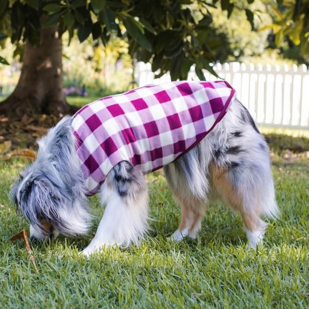 Snoot Style Best Quality Fleece Dog Coat.