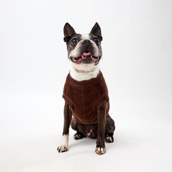 Dog wearing a brown fleece dog coat on a white background