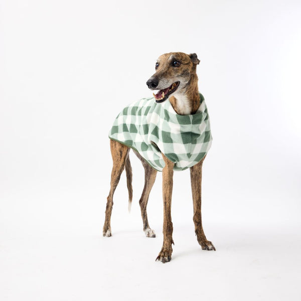 Warm Fleece Winter Dog Coat for Greyhounds Snoot Style.