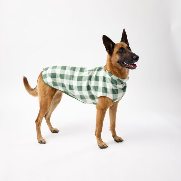 Best fitting dog coats for large dogs Snoot Style.