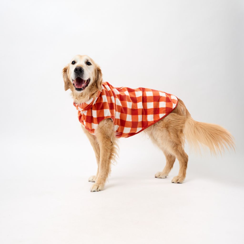 Large dog wearing an orange check Fleece Dog Coat on a white background.