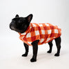 French Bulldog wearing an orange check Fleece Dog Coat on a white background.