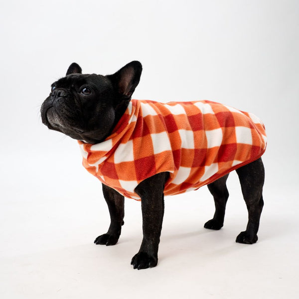 French Bulldog wearing an orange check Fleece Dog Coat on a white background.