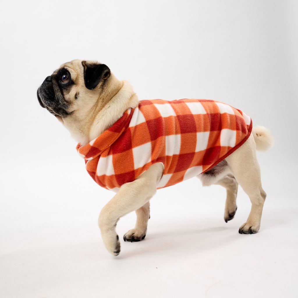 Pug wearing an orange check Fleece Dog Coat on a white background.
