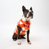 XS Dog wearing an orange check Fleece Dog Coat on a white background.