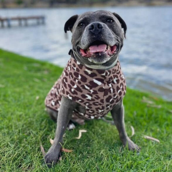 Warm and Cosy Fleece Dog Coat Snoot Style.