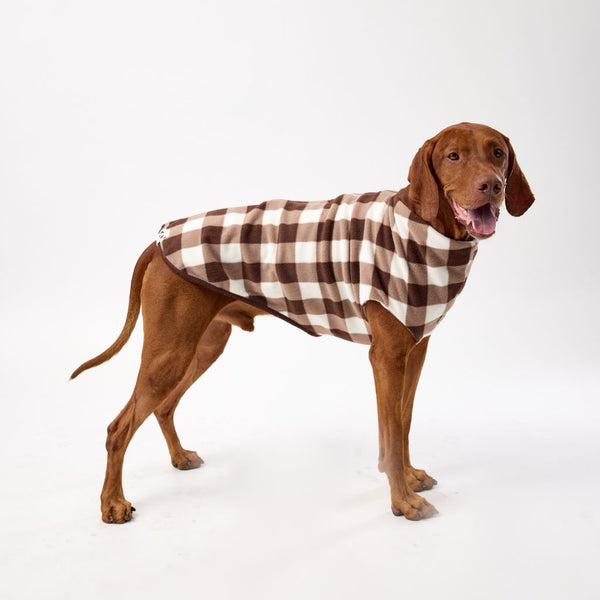 Best Fitting Dog Coat for Large Dogs Snoot Style.