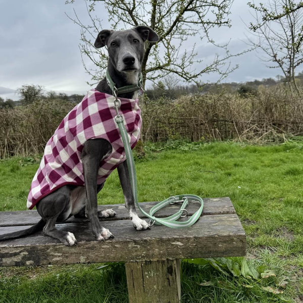 Snoot Style Fleece Dog Coat.