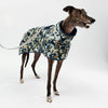 Greyhound wearing a printed raincoat on a white background