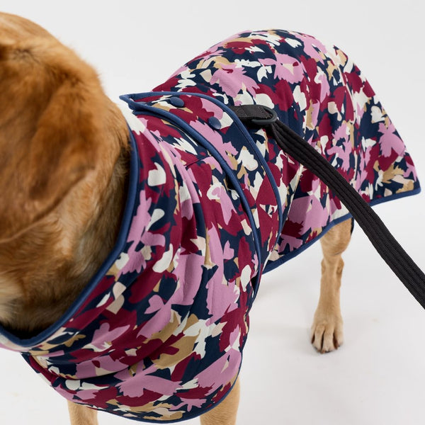 Dog wearing a colorful floral-patterned coat on a white background