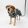 Dog wearing a camouflage raincoat on a white background