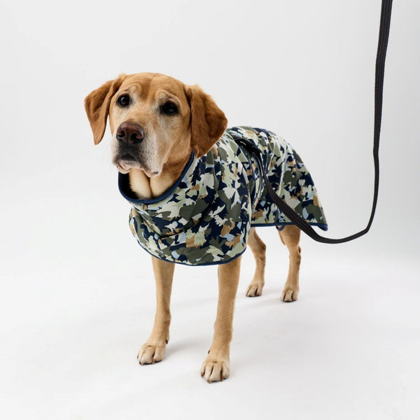 Dog wearing a camouflage raincoat on a white background
