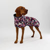 Dog wearing a floral-patterned raincoat on a white background