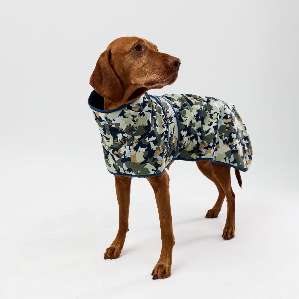 Dog wearing a winter raincoat on a white background