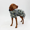 Dog wearing a winter raincoat on a white background