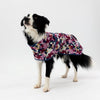 Dog wearing a floral-patterned raincoat on a white background