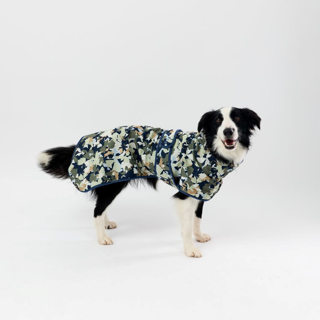 Dog wearing a printed raincoat on a white background