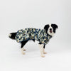 Dog wearing a printed raincoat on a white background