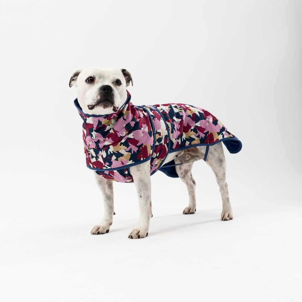 Dog wearing a colorful floral coat on a white background