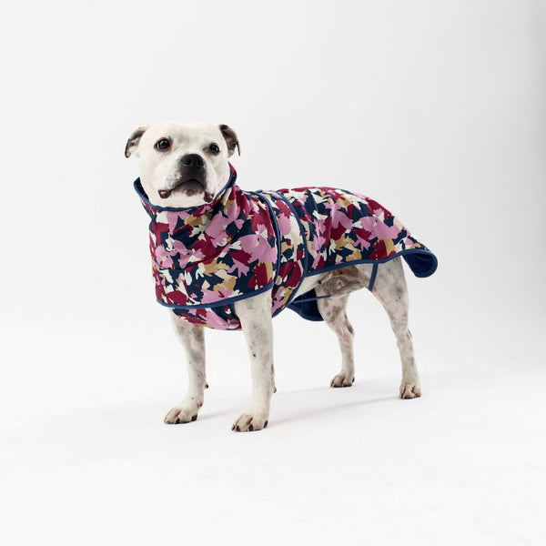 Dog wearing a colorful floral coat on a white background