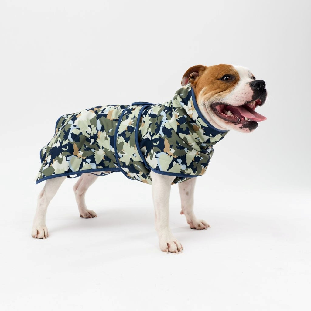 Dog wearing a camouflage raincoat on a white background
