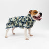 Dog wearing a camouflage raincoat on a white background