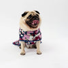 Pug wearing a floral raincoat on a white background