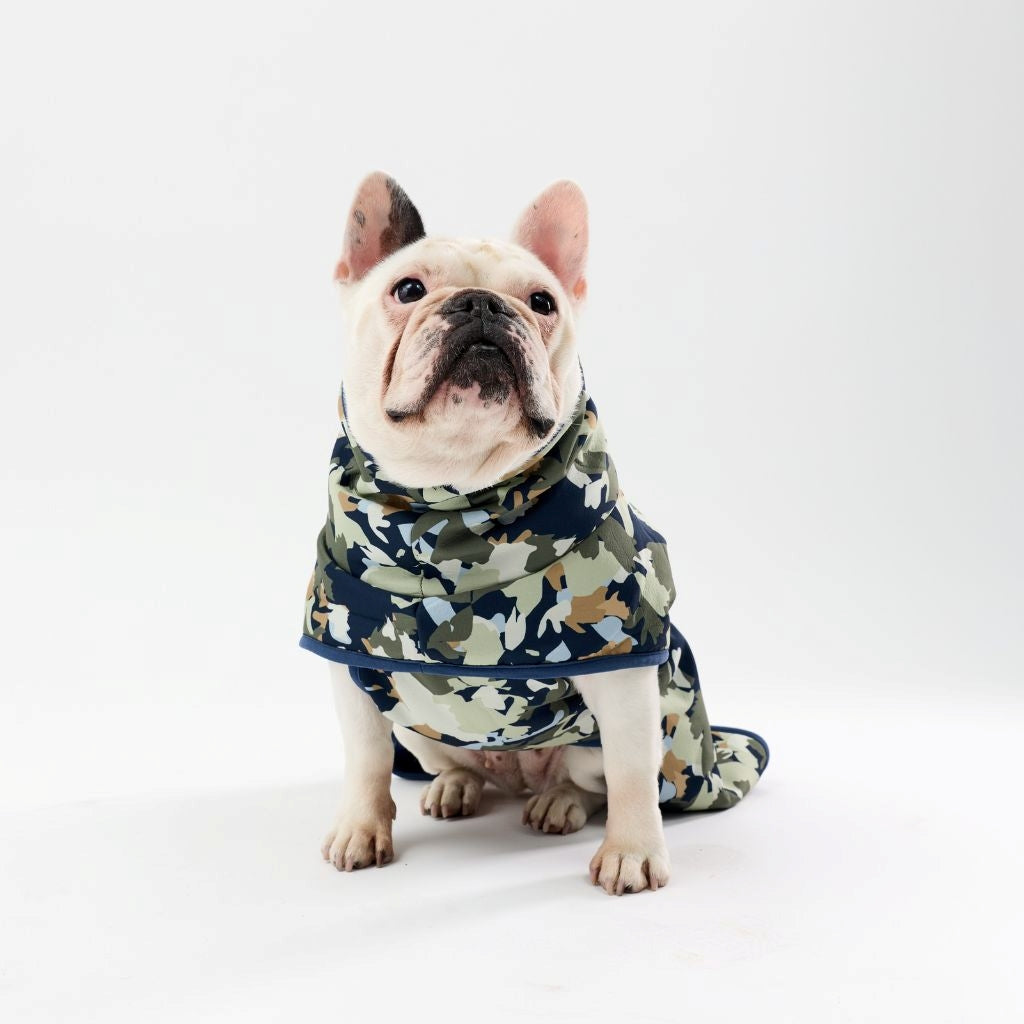 Dog wearing a printed raincoat on a white background