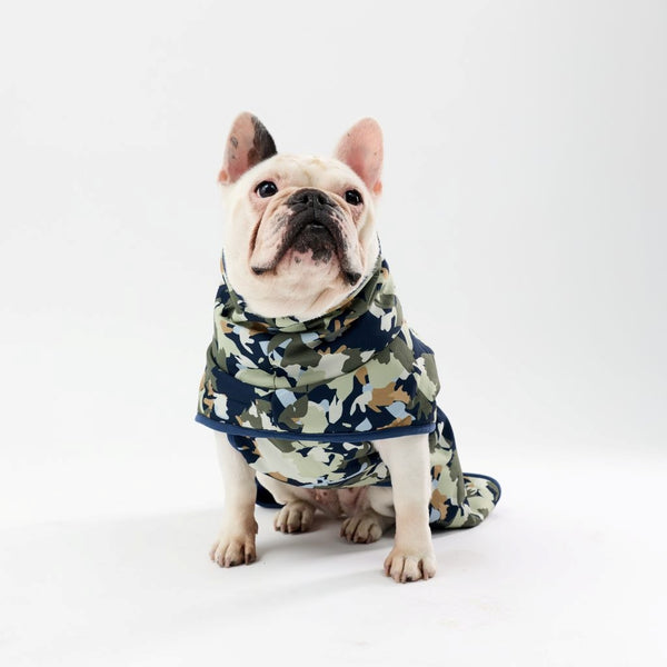 Dog wearing a printed raincoat on a white background