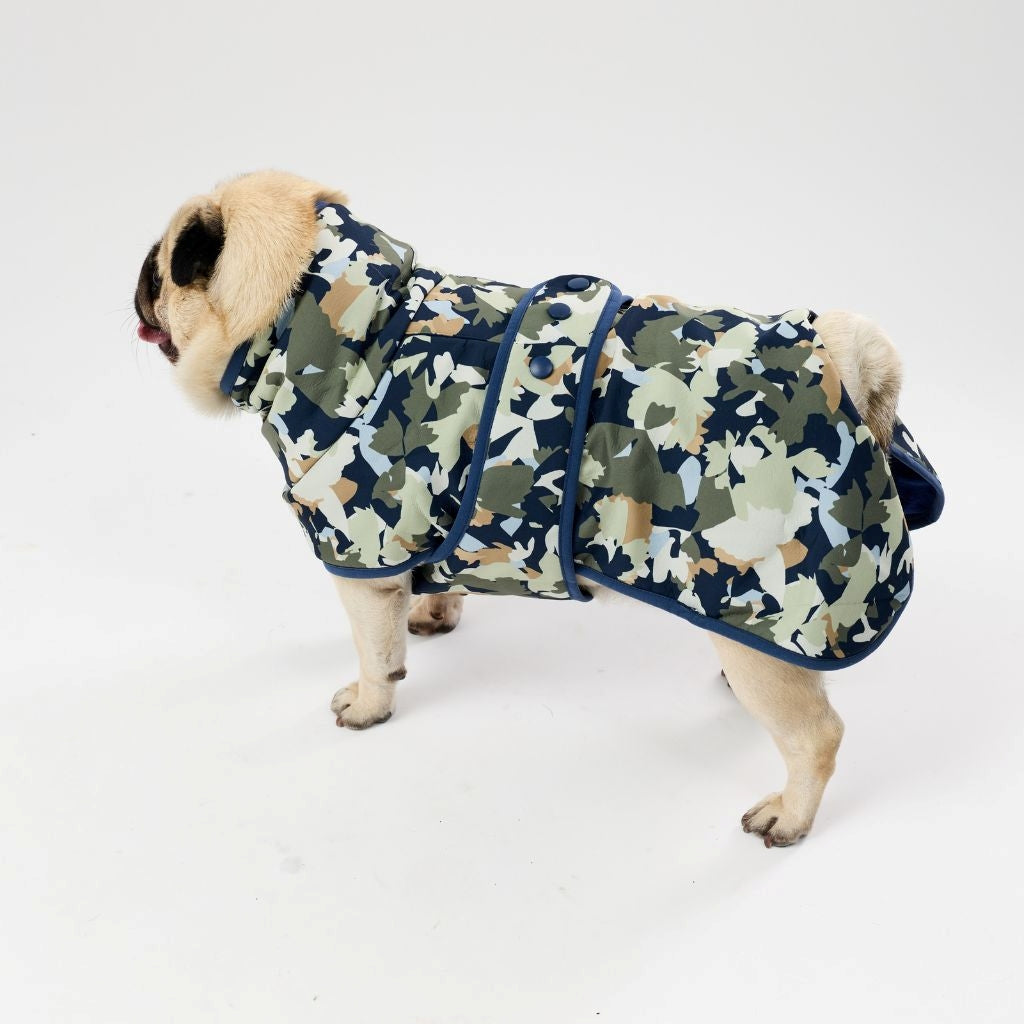 Dog wearing a printed raincoat on a white background