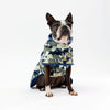 Dog wearing a patterned raincoat on a white background