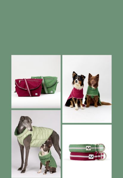 Best gifts for dogs and dog lovers online Snoot Style