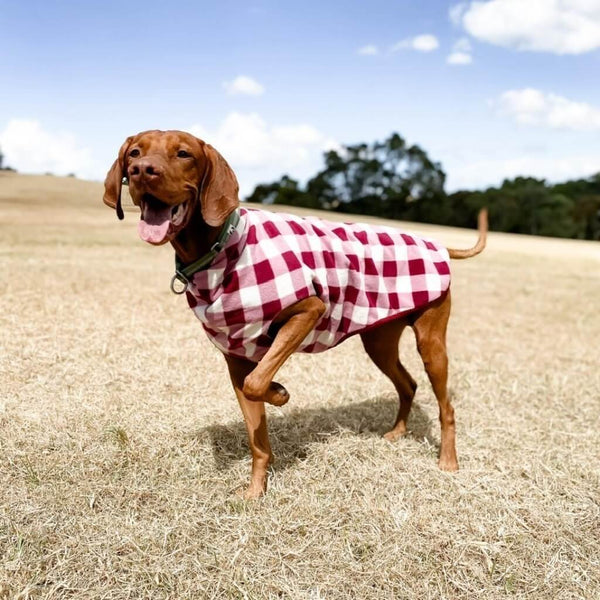 Large Fleece Dog Coat With back Zip.