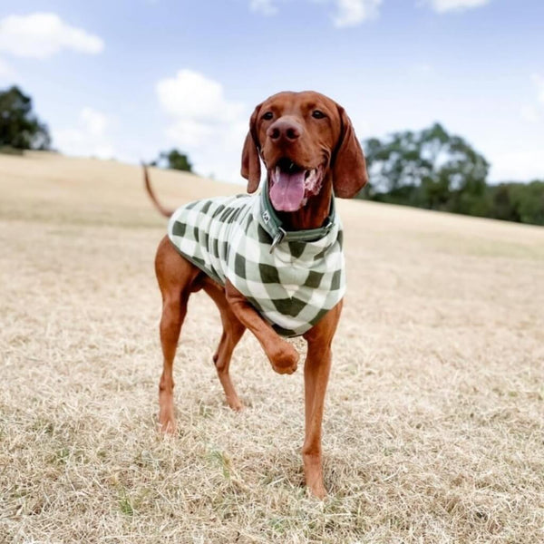 Large Fleece Dog Coat With Back Zip.