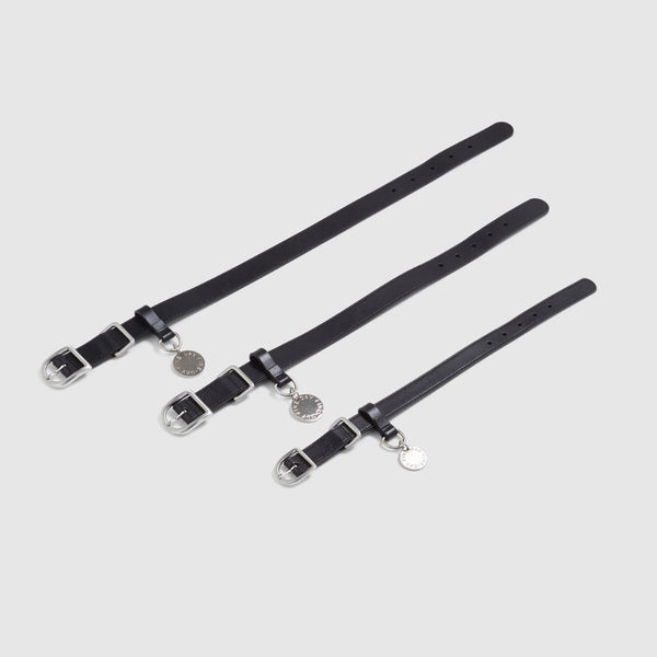 Premium leather dog collars for all sizes Snoot Style