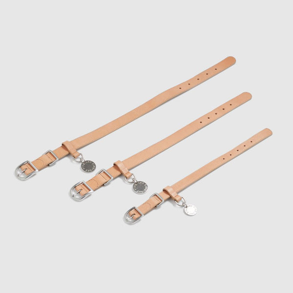 Premium Leather Dog Collars Snoot Style